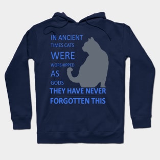 In Ancient Times Cats Were Worshipped As Gods v4 Hoodie